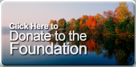 Click here to donate to the Foundation